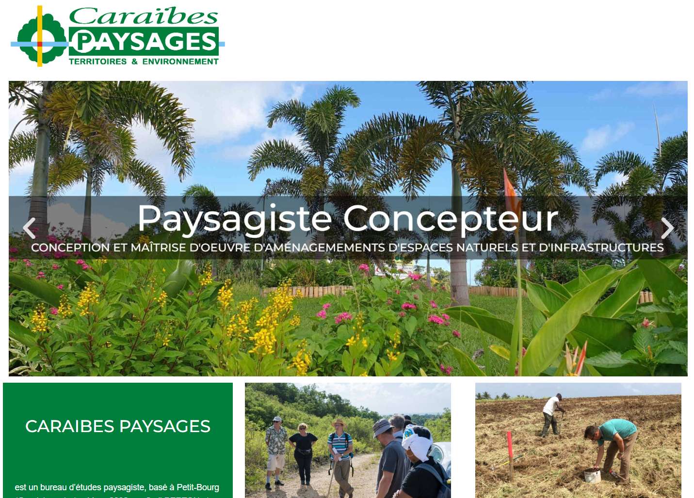 caraibes-paysages.com