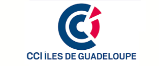 Création site internent de la chambre de commerce de la Guadeloupe